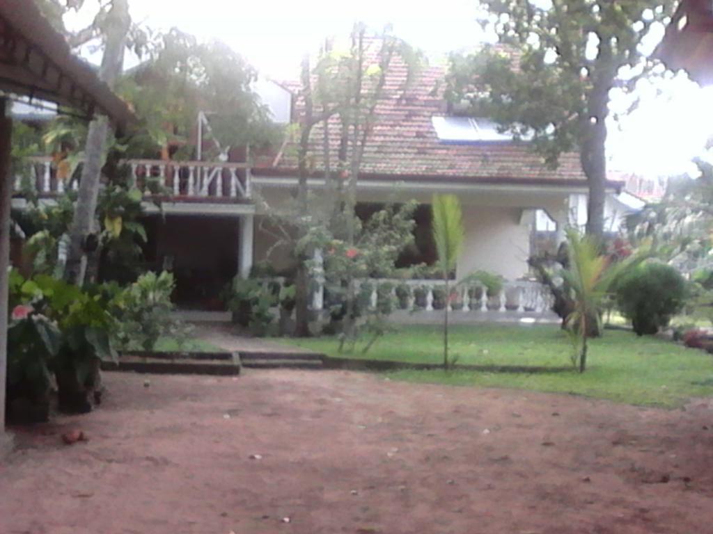 Villa Pala Negombo Exteriör bild
